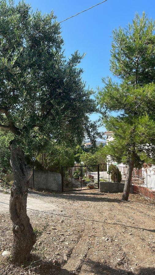 Villa Loren Praia a Mare Kültér fotó